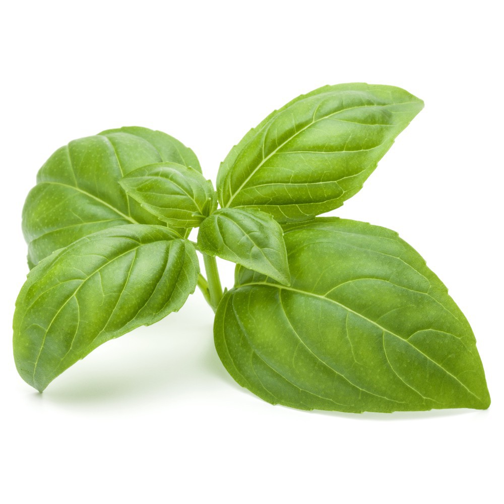 basil